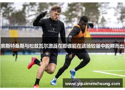 奥斯特桑斯与松兹瓦尔激战在即谁能在这场较量中脱颖而出